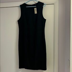 Ann Taylor Black Sleeveless Shift Dress